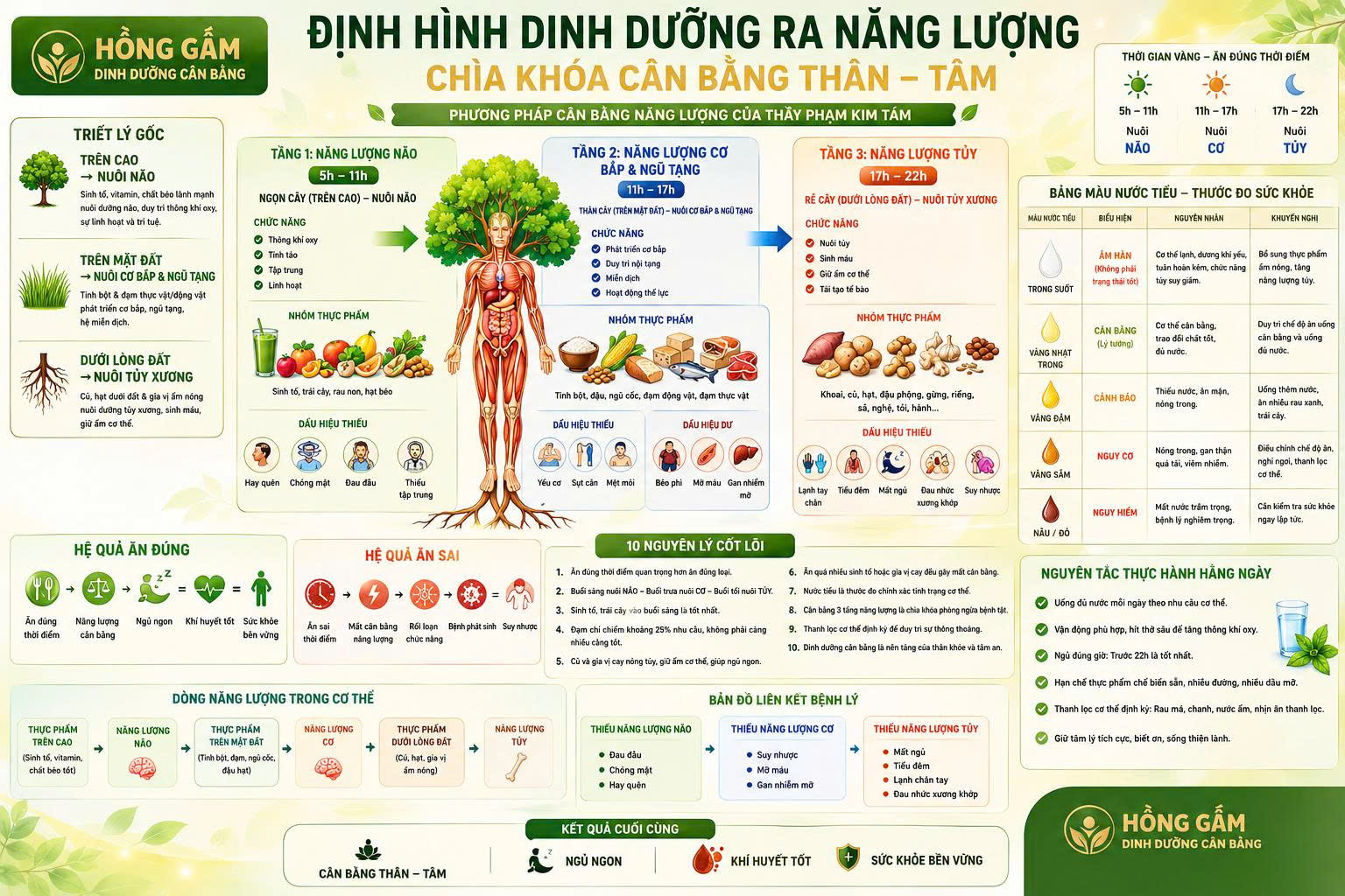 Sơ đồ định hình dinh dưỡng ra năng lượng theo Dinh Dưỡng Cân Bằng