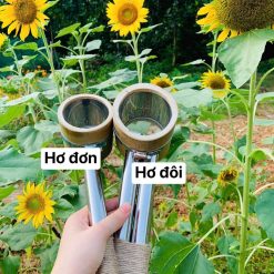 ỐNG CHƯỜM NHANG NGẢI CỨU