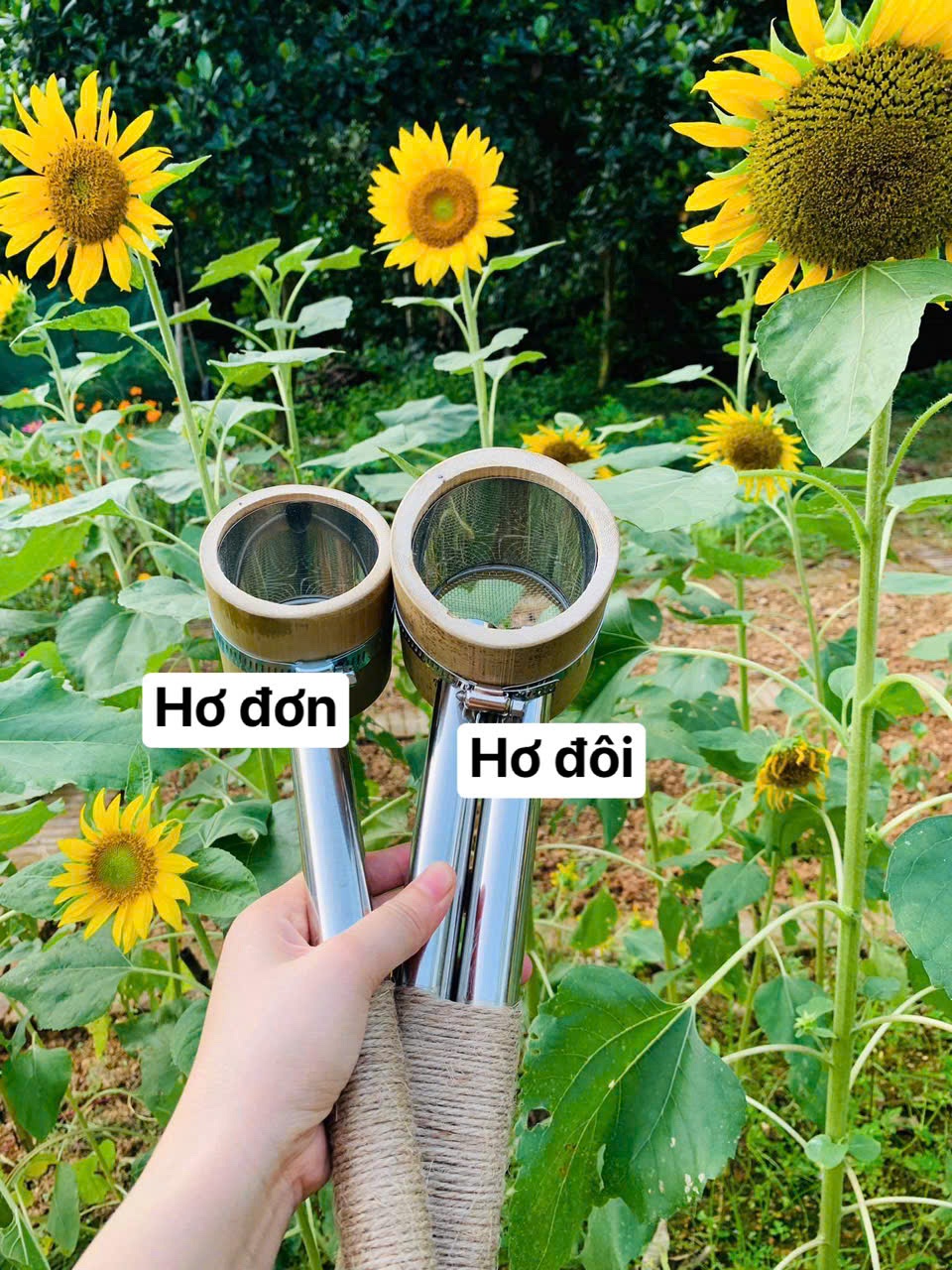 ỐNG CHƯỜM NHANG NGẢI CỨU