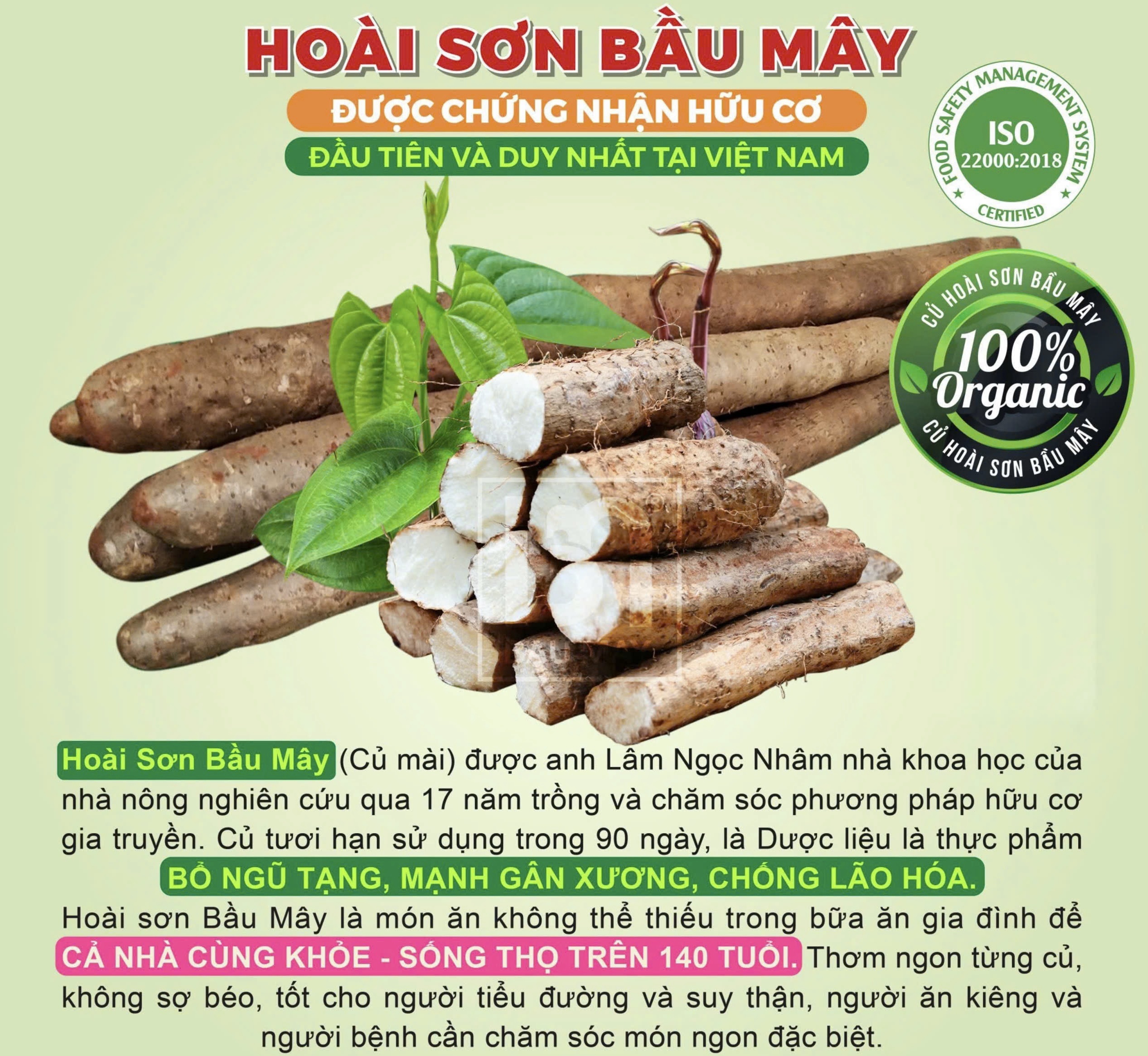 CỦ HOÀI SƠN TƯƠI HỮU CƠ 1KG - Ảnh 2