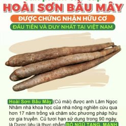 CỦ HOÀI SƠN TƯƠI HỮU CƠ 1KG