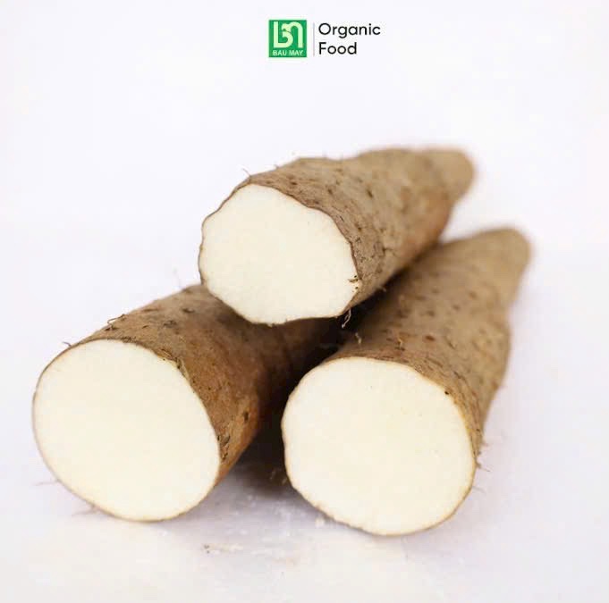 HOÀI SƠN HỮU CƠ TƯƠI - Ảnh 2