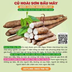 HOÀI SƠN HỮU CƠ TƯƠI