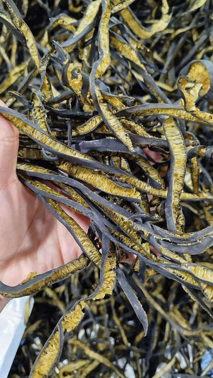 TẢO BIỂN CHILE 100GR